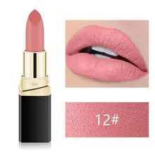 Load image into Gallery viewer, Makeup Waterproof Women Lipstick Cosmetics 18 Color Lip Stick Matte Makeup Long Lasting Nude Matte Lipstick Kit - labaii
